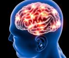 Troubles psychiatriques et maladies neurodégénératives : une base biologique commune ?