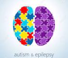 Epilepsie et l'autisme : un gène qui produit trop de protéines