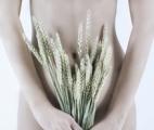 Femmes : les fibres consommées dans la jeunesse diminueraient le risque de cancer du sein