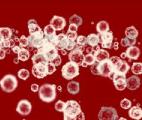 La « poussière cellulaire », un nouvel espoir pour la médecine régénérative