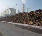 La biomasse pourrait assurer 20 % de la demande mondiale d'énergie en 2030