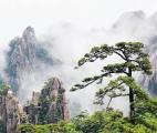 La Chine et l’Inde à l’avant-garde du « verdissement » de la planète…