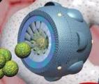 La nanomédecine s'impose dans la lutte contre le cancer