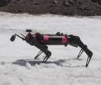 La Nasa développe un robot-chien pour explorer la Lune