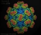 La vaccination contre l’hépatite E est efficace lors d’une épidémie