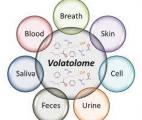 La Volatolomique Induite pour découvrir de nouveaux traitements anticancéreux ciblés