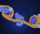 L’analyse épigénétique de l’ADN circulant va bouleverser le diagnostic des cancers