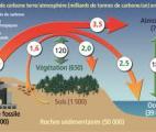 Le carbone souterrain influe sur la composition de l'atmosphère des planètes