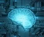 Le cerveau aurait une capacité de stockage dix fois plus importante que prévu