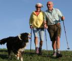 Le chien, meilleur ami de la santé de l'homme ?