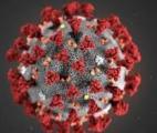 Le coronavirus dévoile un premier talon d’Achille