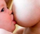 Le lait maternel favoriserait le développement cardiaque du bébé