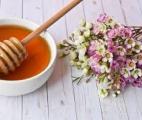 Le miel de manuka pourrait combattre les cellules tumorales du cancer du sein