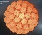Le papillomavirus pourrait être responsable de l'épilepsie de l’enfant