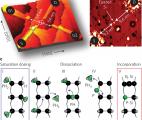 Le plus petit transistor du monde fonctionne avec un seul atome 