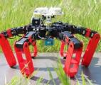 Le premier robot à pattes qui se déplace sans GPS