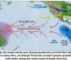 Le réchauffement climatique aurait un impact direct sur l'activité d'El Nino