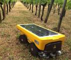 Le robot solaire Vitirover part à l'assaut du désherbage