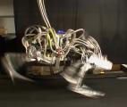 Le robot sur pattes le plus rapide du monde !