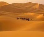 Le Sahara serait brusquement passé du vert au jaune il y a 5000 ans