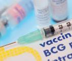 Le vaccin BCG protège bien au-delà de la tuberculose