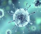 Le virus SARS-CoV-2 provient bien d’un processus naturel