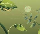 Le voile se lève sur le langage des plantes...
