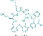 Le zosurabalpin, le nouvel antibiotique contre une bactérie mortelle