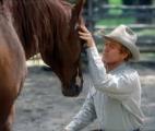 Les chevaux savent communiquer avec l'homme de manière complexe