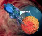 Les nanorobots alimentés par l’urée réduisent les tumeurs de la vessie de 90 % chez la souris