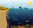 Les océans : 7ème richesse mondiale !