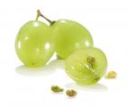 Les pépins de raisin contre le cancer de la prostate ! 
