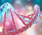 Les pères maltraités dans leur enfance en garderaient une trace dans leurs spermatozoïdes