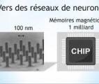 Les premiers nano-neurones magnétiques