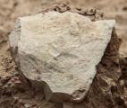 Les premiers outils âgés de 3,3 millions d’années ? 