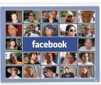Les réseaux sociaux, principale source d'intérêt des internautes