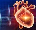 Les troubles du rythme cardiaque mieux compris