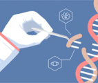 L'outil d'édition génomique CRISPR s'attaque à la maladie d’Alzheimer