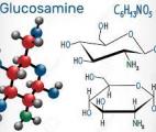 L’utilisation régulière de glucosamine réduit le risque de cancer du poumon
