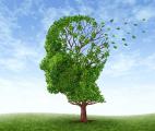 Maladie d'Alzheimer : une avancée majeure !