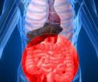 Maladie de Crohn : un acide gras responsable ?