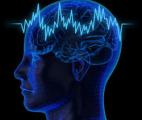 Maladie de Parkinson : la stimulation cérébrale profonde pour soulager les malades   