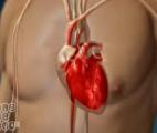 Maladies cardio-vasculaires et diabète : quand les petites causes produisent de grands effets !