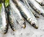 Manger des sardines plutôt que de la viande rouge pourrait sauver 750.000 vies par an en 2050