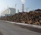Mise en service de la plus grande centrale mondiale de biomasse