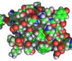 Diabète: une nouvelle insuline injectable grâce à la nanomédecine