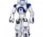 Nao, le seul robot humanoïde européen
