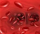 Nos cellules sanguines ont-elles de l'odorat ?