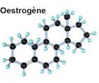 Œstrogènes : une nouvelle voie thérapeutique pour les femmes souffrant de schizophrénie ?