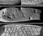 On savait déjà peindre il y a plus de 100.000 ans